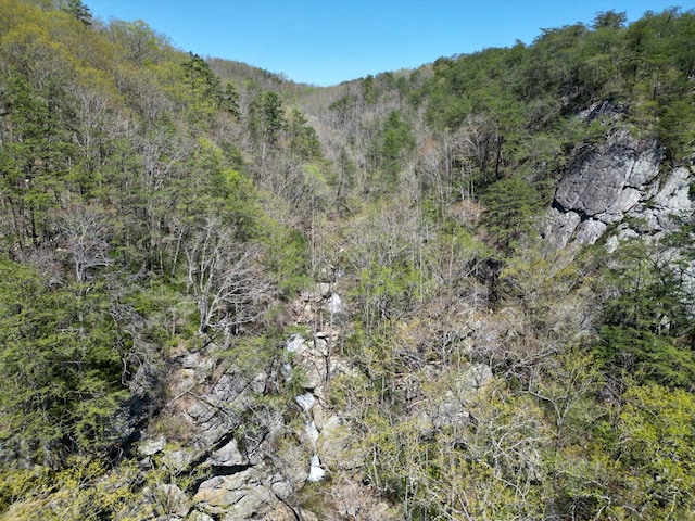 0 Old Spencer Rd Unit 198, Acres, Pikeville, TN 37367