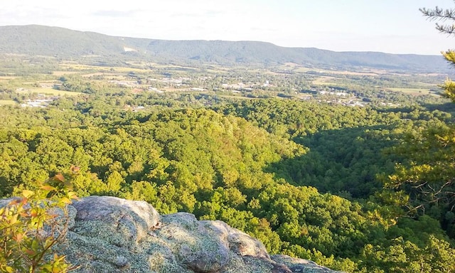 0 Old Spencer Rd Unit 198, Acres, Pikeville, TN 37367