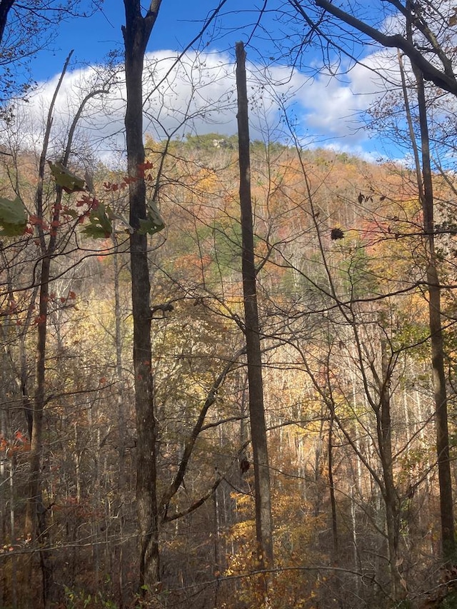 0 Old Spencer Rd Unit 198, Acres, Pikeville, TN 37367