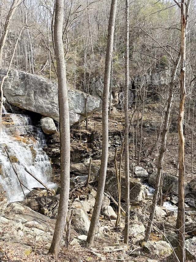 0 Old Spencer Rd Unit 198, Acres, Pikeville, TN 37367