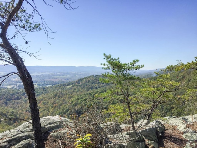 0 Old Spencer Rd Unit 198, Acres, Pikeville, TN 37367