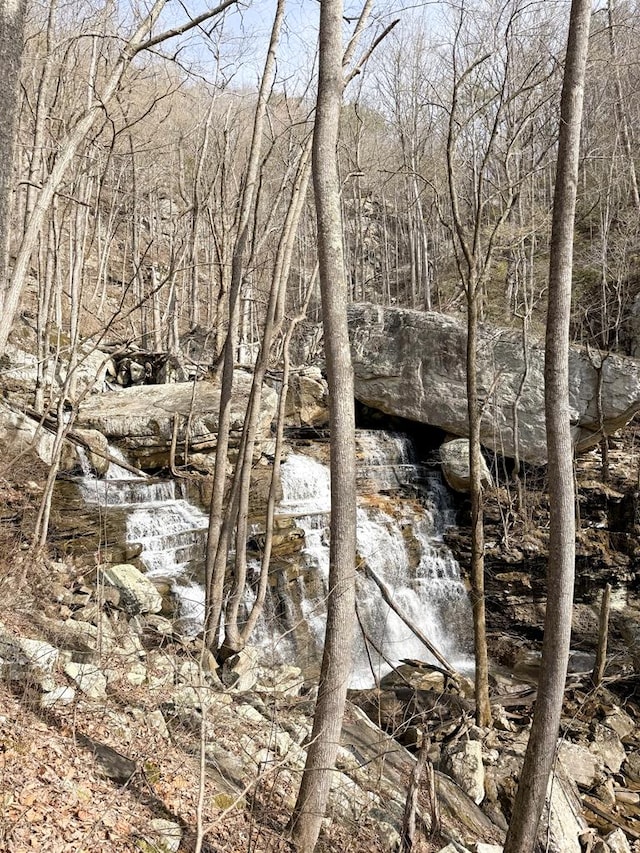 0 Old Spencer Rd Unit 198, Acres, Pikeville, TN 37367