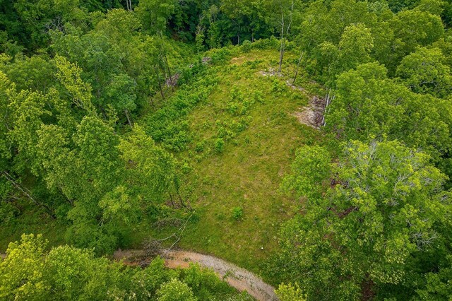 0 Knowles Ln, Sparta, TN 38583 - photo 7