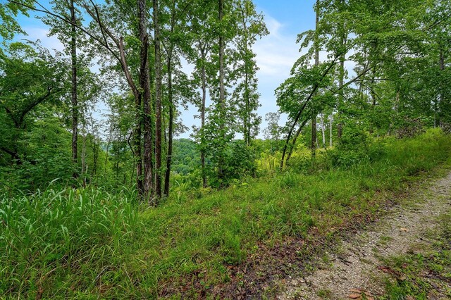 0 Knowles Ln, Sparta, TN 38583 - photo 23