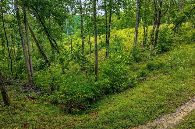 0 Knowles Ln, Sparta, TN 38583 - photo 5