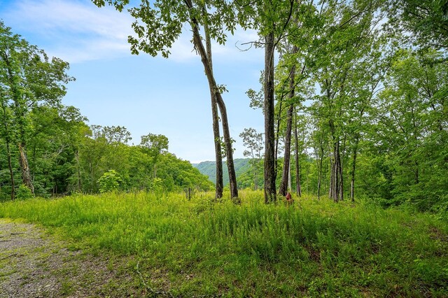0 Knowles Ln, Sparta, TN 38583 - photo 4