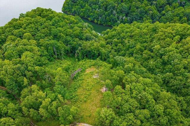 0 Knowles Ln, Sparta, TN 38583 - photo 21