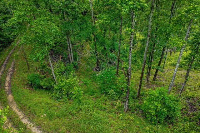 0 Knowles Ln, Sparta, TN 38583 - photo 6