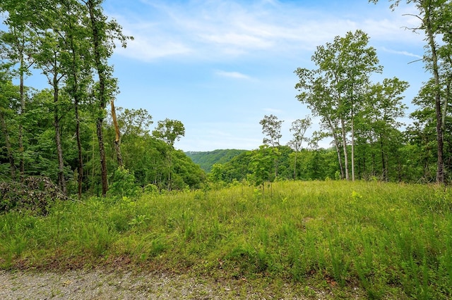 0 Knowles Ln, Sparta, TN 38583 - photo 3