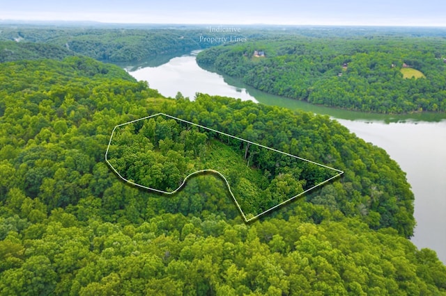 0 Knowles Ln, Sparta, TN 38583 - photo 2