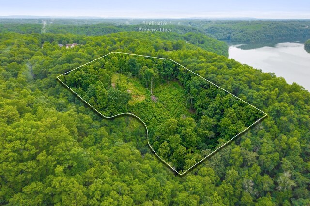 0 Knowles Ln, Sparta, TN 38583 - photo 10