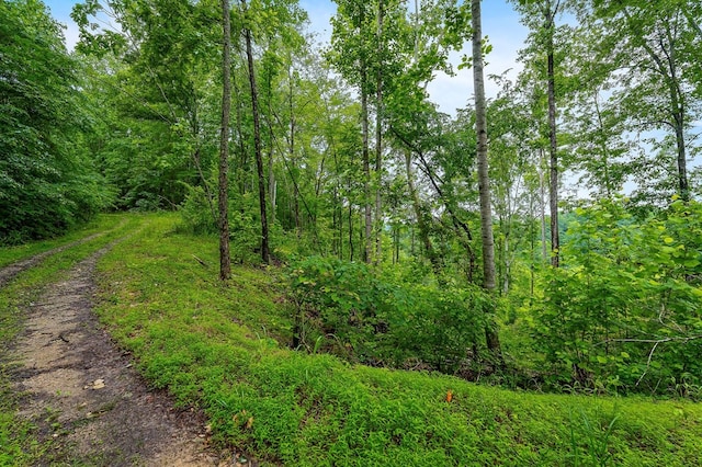 0 Knowles Ln, Sparta, TN 38583 - photo 22