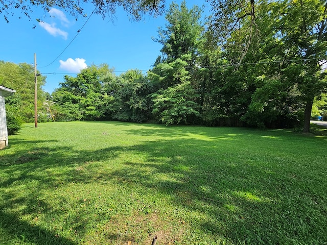115 Copley Ave, Jamestown, TN 38556 - photo 18
