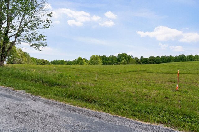 0 Four Seasons Rd, Smithville, TN 37166 - photo 8