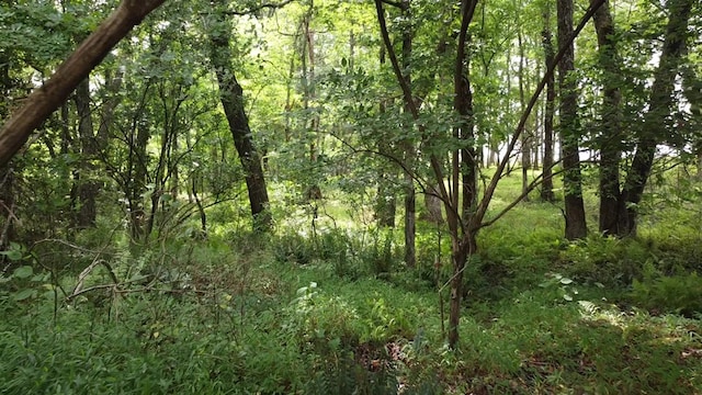 0 Bridle Trl, Spencer, TN 38585