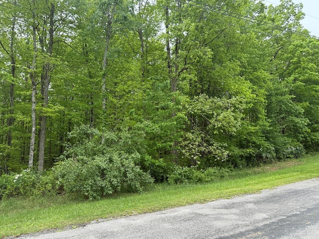 0 E Cove Rd, Monterey, TN 38574