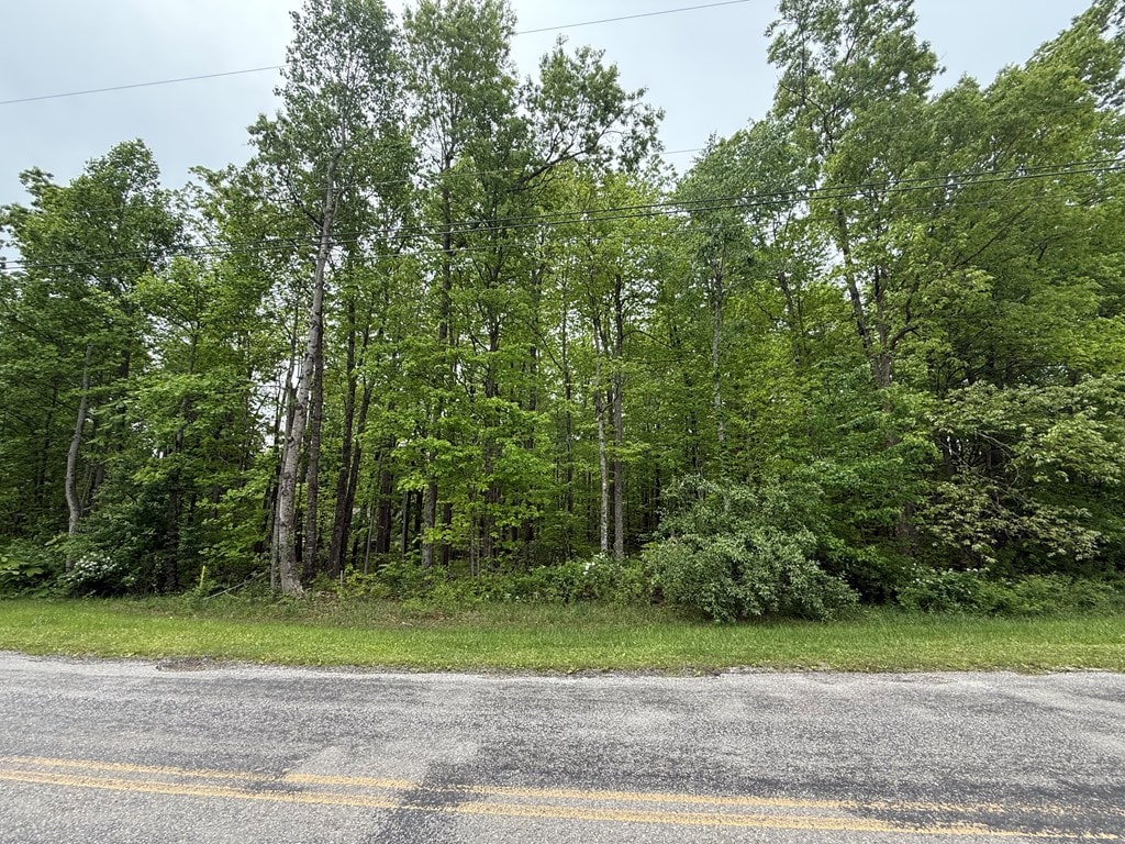 0 E Cove Rd, Monterey, TN 38574