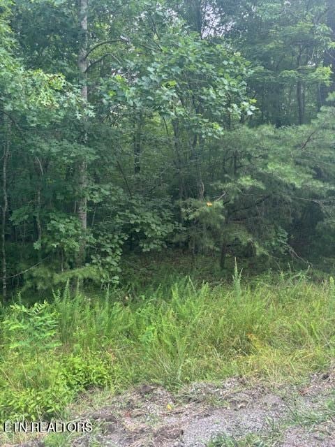 0 Poston Dr, Monterey, TN 38574