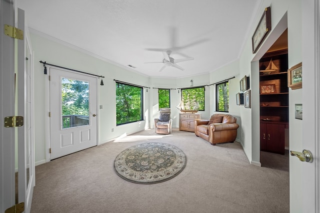 513 Cumberland Cove Rd, Monterey, TN 38574 - photo 21