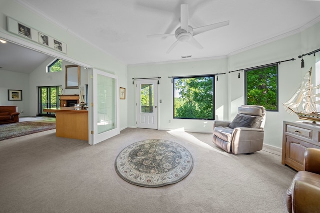 513 Cumberland Cove Rd, Monterey, TN 38574 - photo 23