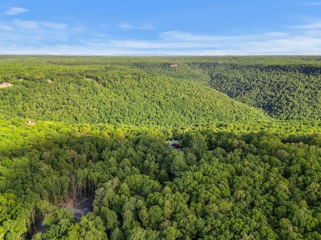 513 Cumberland Cove Rd, Monterey, TN 38574 - photo 9