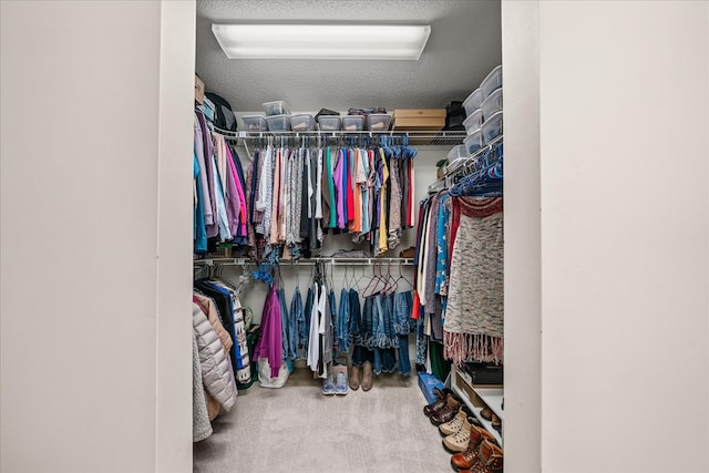 spacious closet featuring carpet flooring