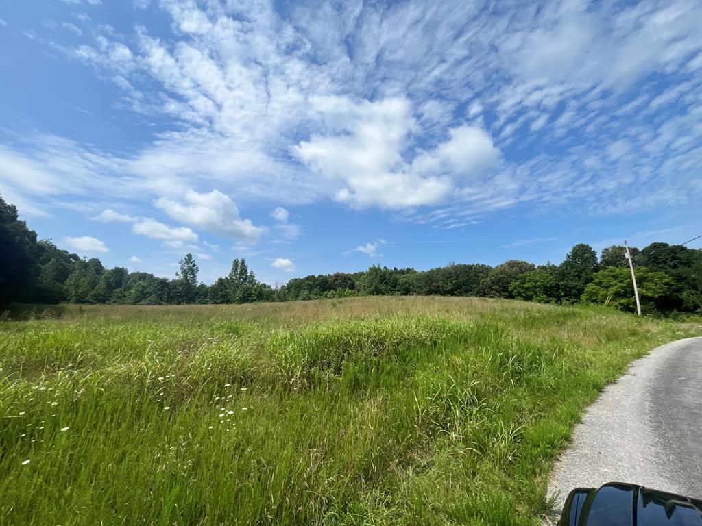 LOT24 Summer Breeze Dr, Smithville, TN 37166 - photo 1