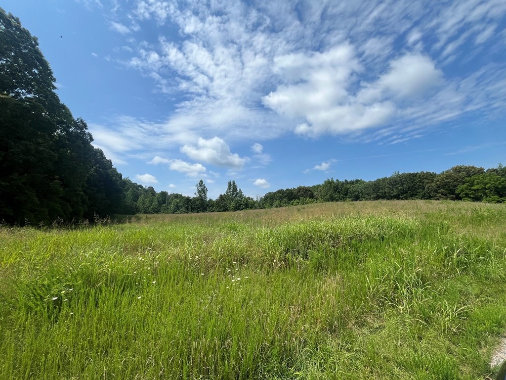LOT24 Summer Breeze Dr, Smithville, TN 37166 - photo 2