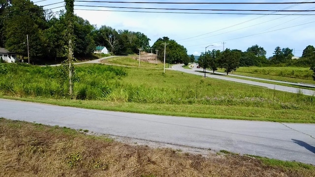 00 E Bockman Way, Sparta, TN 38583 - photo 4