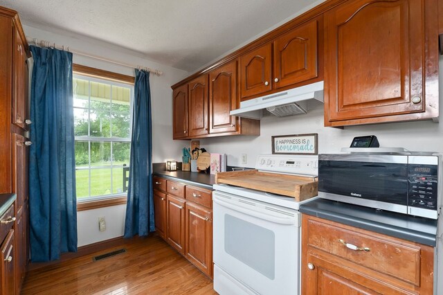 1841 SW Jones Chapel Rd, Byrdstown, TN 38549 - kitchen with electric range, under cabinet range hood, light wood-style floors, stainless steel microwave, and brown cabinets