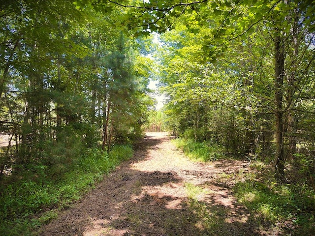 00 Marcrom Rd, Morrison, TN 37357 - photo 1