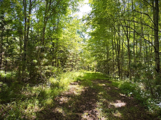 00 Marcrom Rd, Morrison, TN 37357 - photo 21