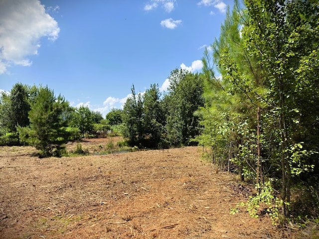 00 Marcrom Rd, Morrison, TN 37357 - photo 18