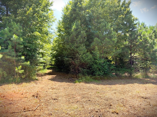 00 Marcrom Rd, Morrison, TN 37357 - photo 20
