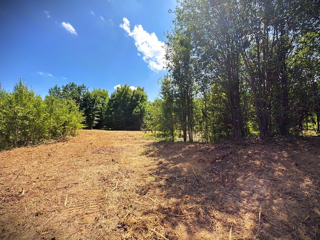 00 Marcrom Rd, Morrison, TN 37357 - photo 14