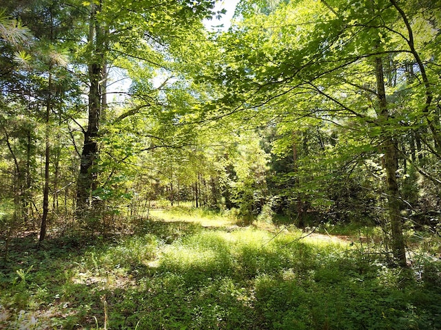 00 Marcrom Rd, Morrison, TN 37357 - photo 22
