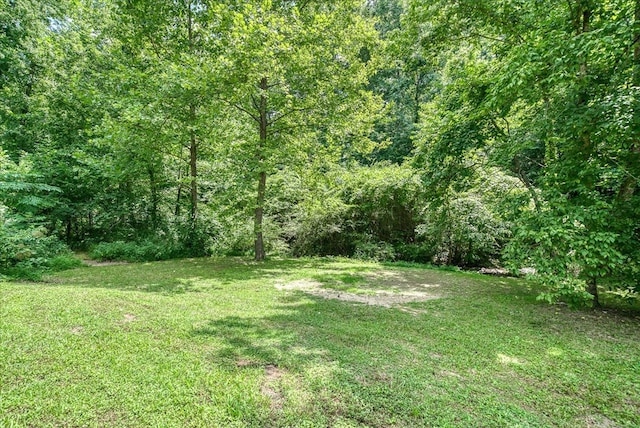 139 Rachelle Pl, Baxter, TN 38544 - view of green lawn with a view of trees