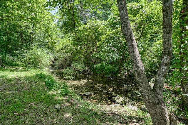 139 Rachelle Pl, Baxter, TN 38544 - view of woods