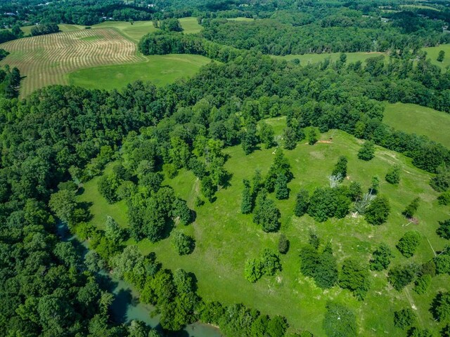 bird's eye view featuring a forest view, a rural view, and a water view