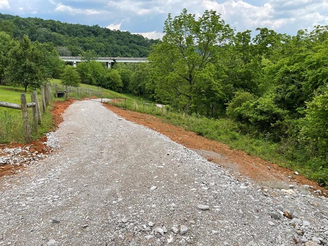 view of street featuring a gated entry and a wooded view