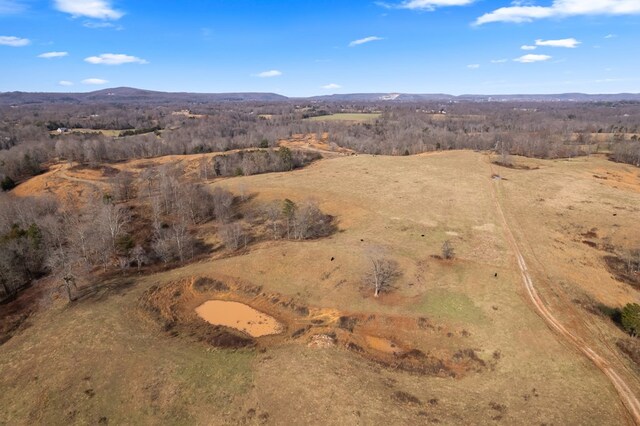 drone / aerial view featuring a mountain view