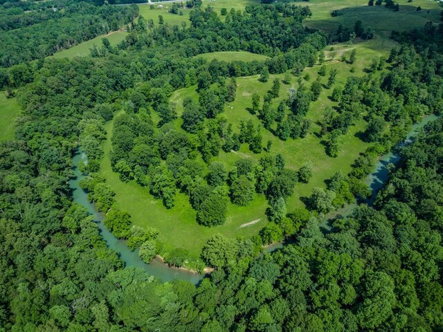 birds eye view of property featuring a water view and a view of trees