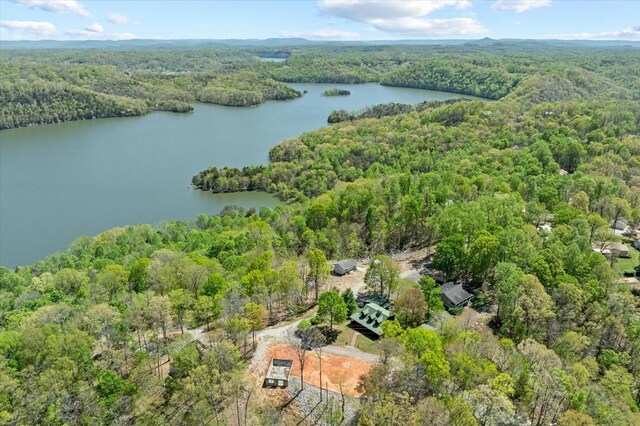 117 Falcon Dr, Byrdstown, TN 38549 - photo 34
