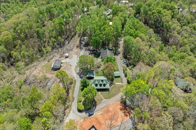 117 Falcon Dr, Byrdstown, TN 38549 - photo 33