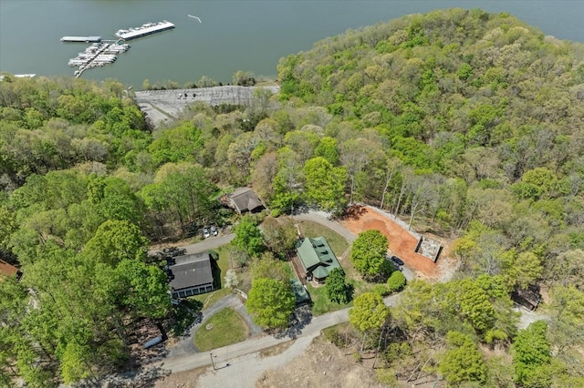 117 Falcon Dr, Byrdstown, TN 38549 - photo 32