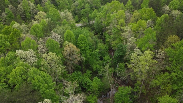 LOT56 Glade Pl, Monterey, TN 38574