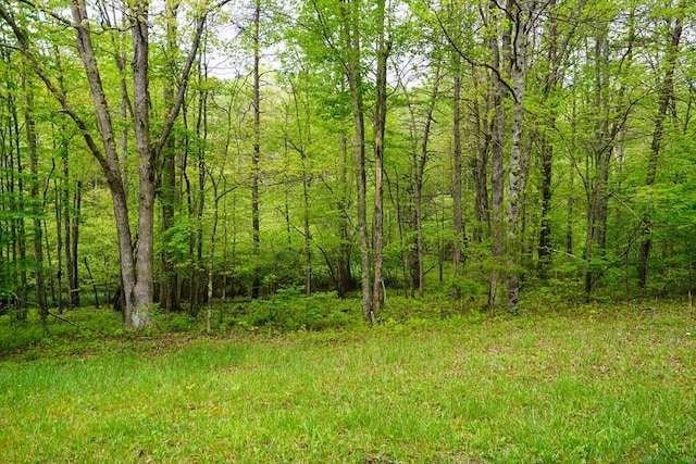 LOT56 Glade Pl, Monterey, TN 38574