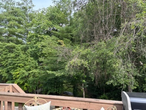 368 Hermitage Ave, Cookeville, TN 38501 - photo 14