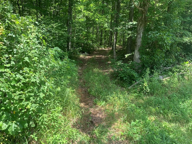 1805 Laurelburg Rd, Rock Island, TN 38581