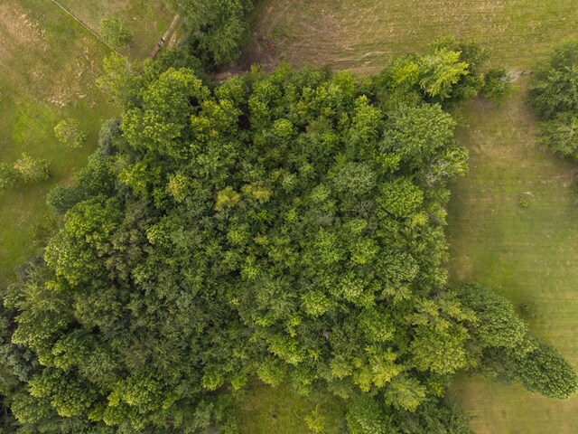 5414 Doubleview Cir, Baxter, TN 38544 - view of property location